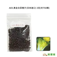 在飛比找蝦皮購物優惠-A69.黃金白菜種子3克(約750顆)(半結球.內葉白嫩.中