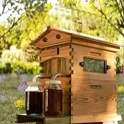 AUSHIVE Beehive Bee Hives Boxes Starter kit, with 7 Hive Frames, 1 Super Box, 1 Brood Box Perfect for Backyard Beekeeping