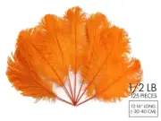125 Pieces Orange Ostrich Tail Bulk Wholesale Feathers Halloween Mardi Gras Wing