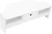 Gadpiparty 1Pc Computer Monitor Stand with Desktop Organizer for Office Home Ergonomic Elevated Shelf for Comfortable Viewing Multi Storage for Stationery