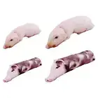 Pig Pillow Cute Piggy Stuffed Animal Doll Toy Cushion Pig Sleeping for Car Sofa