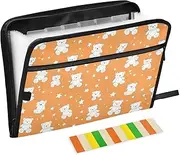 File Folder Organizer 13 Pockets A4 Letter Size with Zipper Closure for Office School Cartoon Cute White Teddy Bear Stars carpetas de