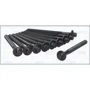 Austral Cylinder Head Bolt Set - 81031800