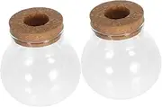 Toyvian 2pcs Hydroponic Plant Vases Small Glass Terrarium Containers for Office Desk Stylish Plant Propagation Station with Cork for Indoor Greenery Display
