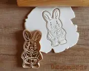 Easter Rabbit Family Fater Son Mother Eggs Grass Decorations Cookie Cutter