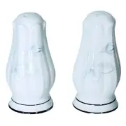 Noritake VIRTUE 2934 White Blue Rose Porcelain Salt & Pepper Shaker NEW