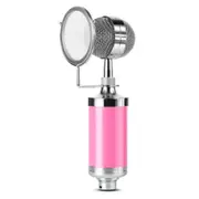 Home KTV Mic Condenser Sound Recording Microphone with Shock Mount & Pop Filter for PC & Laptop(Pink)