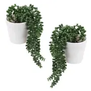 Artificial Succulents, 2Pcs Hanging Artificial Succulents in White Pot