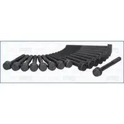 Austral Cylinder Head Bolt Set - 81035300
