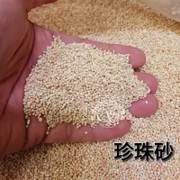 在飛比找蝦皮購物優惠-【閃電聯盟】珍珠砂 1kg 珍珠沙 珊瑚砂 珊瑚沙 水族底砂