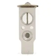 JAS A/C Thermal Expansion Valve - A22-8717