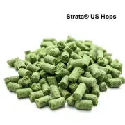 50g Strata Hops T90 Pellet Hops US IPA Sour Stout Sour Amber Home Brew