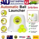 DOG BALL THROWER LAUNCHER MACHINE Automatic Pet Tennis Ball Fetch All For Paws
