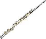 Professional Cupronickel Plated C Flute for Beginners and All Levels, 16 Key Closed Hole with Ergonomic Design, Includes Carrying Case, Gloves, Cleaning Cloth, Tuning Rod