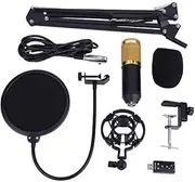 Professional Studio Condenser Microphone Set with Arm Stand, Pop Filter, Foam Cap Kit, USB Adapter for Streaming, Recording, Broadcast, YouTube - BM800 Version