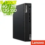 LENOVO 聯想 THINKCENTRE M70Q (I5-13500T/16G/2TB+512G SSD/W11P)