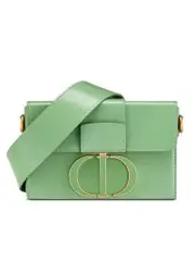 Dior 30 Montaigne Box Bag in Mint Green Box Calfskin