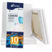 Canvases for Painting 8 x 10 Inch 10 - Pack, 5/8" Profile Stretched 8"X10"