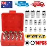 14pcs E-Torx Socket Set Tool Female Start Key Socket External Torx Torque E4-E24