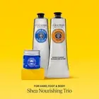 L’Occitane Hand, Foot Body Shea nourishing Trio NIB