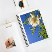 Blush Flower with Blue Sky Spiral Notebook - Ruled Line