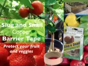 STOP SLUGS AND SNAILS! COPPER BARRIER TAPE NON TOXIC/HARM Raised Beds/Pots