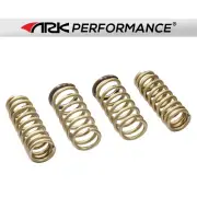 ARK Performance GT-S Lowering Springs for 2015+ Lexus RC350 RC200t RC300 RWD (for: Lexus)