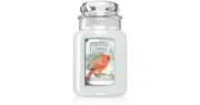 Country Candle First Fallen Snow scented candle 680 g