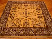 6x6 Wool Graceful Handmade Light Gold New Square rug PIX-3054