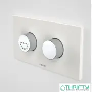Caroma Invisi Dual Flush Plate Raise Care Buttons Morning Glow 237011MG