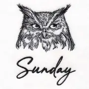 Who Gives a Hoot Owl Days of the Week Embroidered Flour Sack Towel Set New