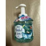 GREEN 綠的 植物抗菌潔手慕斯 水族樂園 400ML