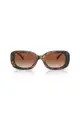 Coach Women's Oval Frame Brown Acetate Sunglasses - HC8358U