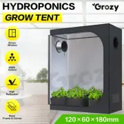 GROZY 120x60x180CM Grow Tent with Green Window For Hydroponics Growing System