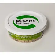 Pisces Live Mealworms - 10g