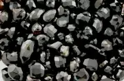TEN Flat Pear Heart 9mm-19mm Dark Brown Black Agate Bead Briolette CLOSEOUT PB28
