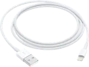 Apple Lightning to USB Cable (1M)