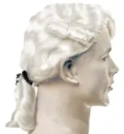 Aristocratic Colonial Man Wig - Lacey Wigs