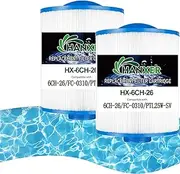 HANXER PFF42TC-P4 Spa Filter Cartridge Replaces for Watkins 303279, 5CH-37, 78460, FC-2402, SD-01322, LSX1057 Hot Tub Filter, 37.5 sq.ft, 2 Pack