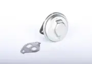Exhaust Gas Recirculation (EGR) Valve Kit