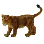 【MRW】COLLECTA 英國高擬真模型  小獅子 獅子 小白老虎 白老虎 小雲豹 野生動物 動物模型 長約七公分