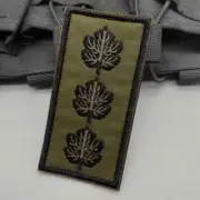 Pair Israeli Army IDF Zahal tactical rank Uniform Patches Officer Colonel