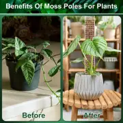 4Pcs Moss Pole 23.6” Reusable Plastic Plant Pole Stick Transparent Plant KoVzO