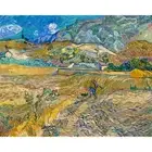 Van Gogh, Enclosed Field with Peasant, 1889, Canvas Print, 38" x 48" + Border