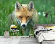 3D Green Grass Fox G5737 Wallpaper Wall Murals Removable Self-adhesive Honey