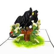 Black Cockatoo Couple 3D Native Bird Pop Card
