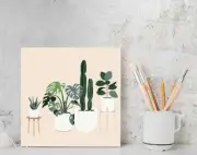 Paint By Numbers DIY Painting Kit POT PLANT Abstract Beginners 20 x 20 Framed AU