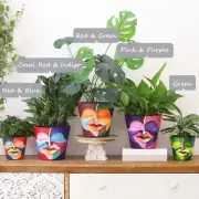 8 Inch Abstract Rainbow Head Planter, Unique Face Plant Pot with Drainage, Cu...
