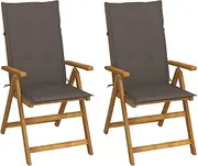 Dining Chairs with Armrest, Wood Patio Chairs, Garden Reclining Chairs 2 pcs with Cushions for Lawn, Porch, Garden, Deck, Easy Assemble, 120 x 50 x 3 cm, Taupe