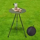 Foldable Picnic Table, Camping Folding Table Portable Table with Storage Bag